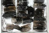 Lot: Lbs Cut base Smoky Quartz Crystals (-) - Brazil #77824-2
